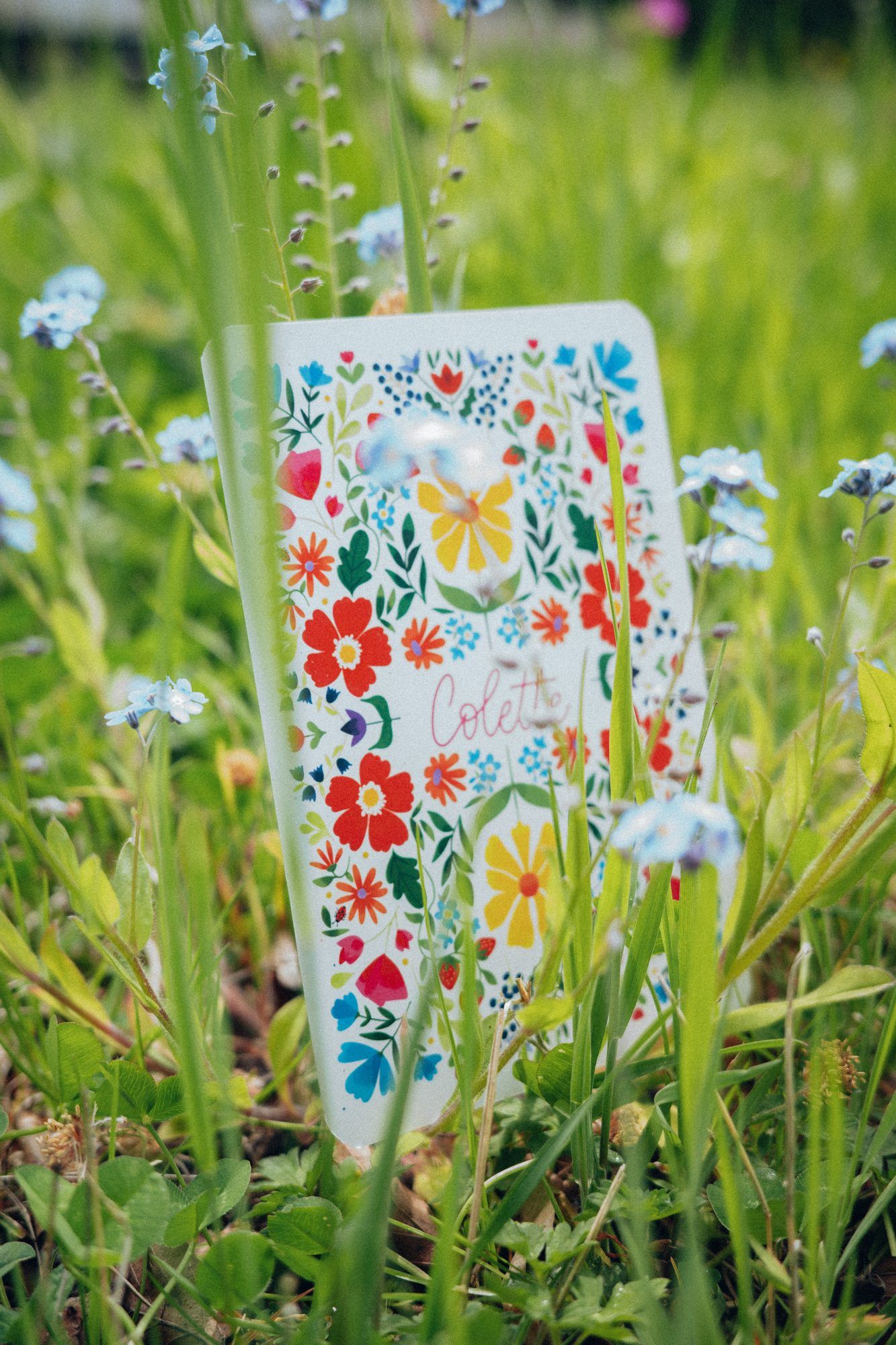 Faire-part de naissance de Colette couvert de fleurs colorées, posé dans l'herbe